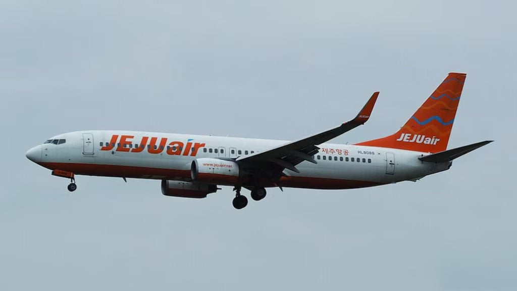 Otro avión de Jeju Air tuvo que regresar a un aeropuerto de Corea del Sur por fallas post thumbnail image