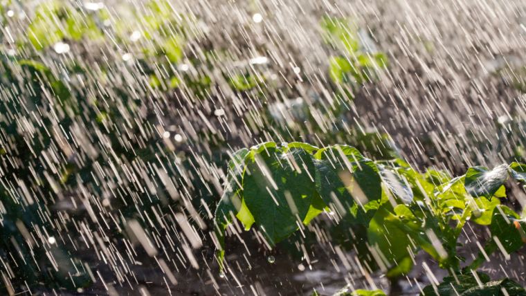 Se prevé viento del este/noreste ocasionará precipitaciones dispersas en varias provincias post thumbnail image