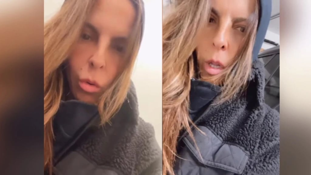 Kate del Castillo evacua su casa tras incendios en Los Ángeles post thumbnail image